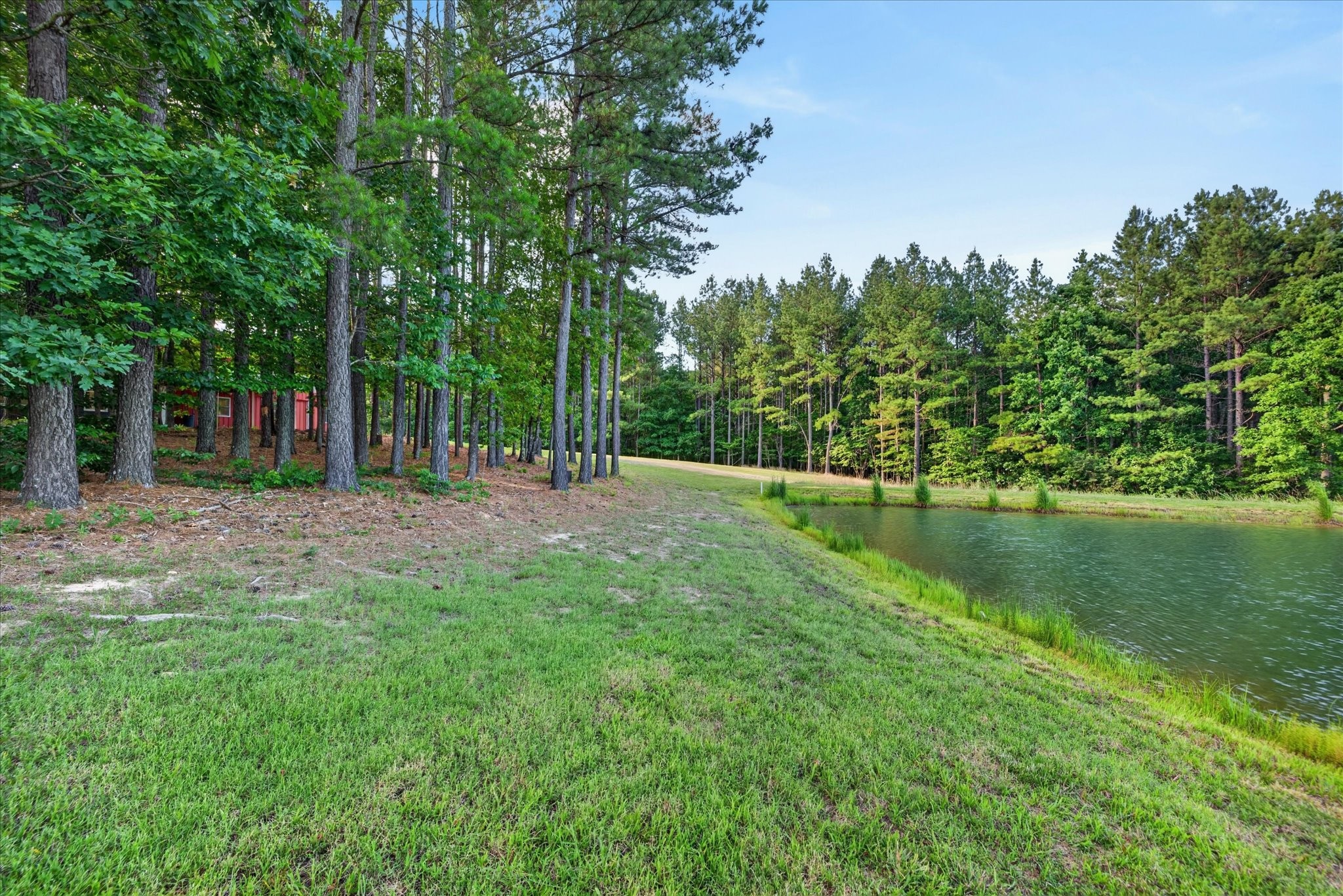635 7 Mile Ridge Road Indian Mound, TN 37079 - Photo 3 of 47