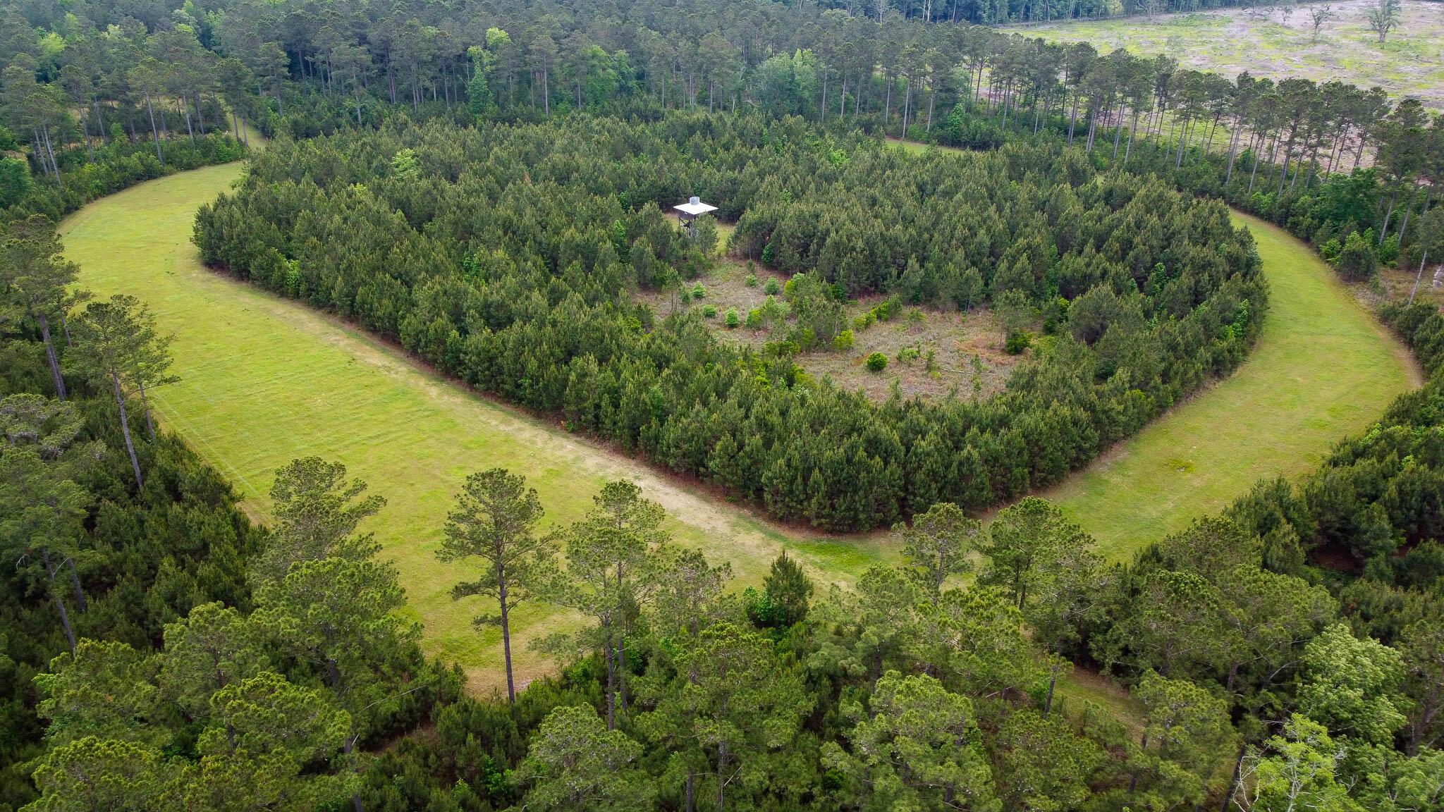 1034 Tuten Road Jacksonboro, SC 29452 - Photo 5 of 77 Hayne HallSC Land for Sale-05