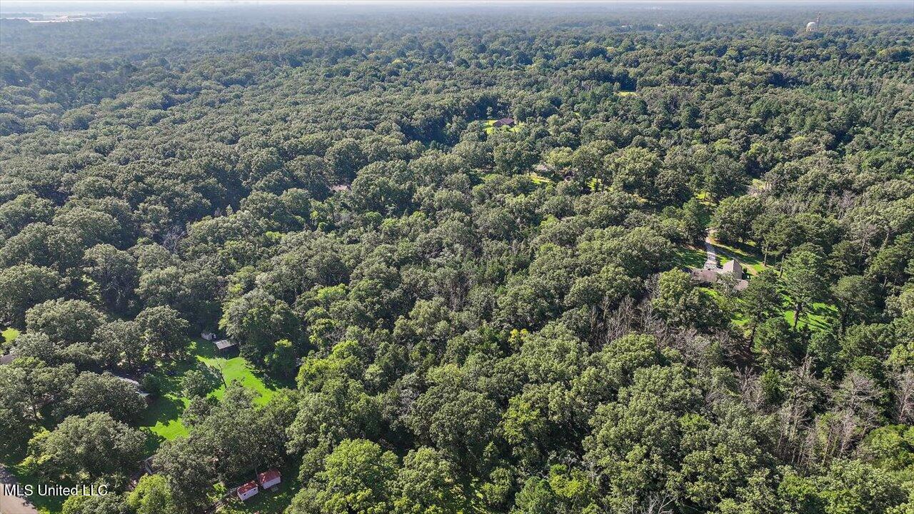 Castlewood Drive Clinton, MS 39056 - Photo 11 of 22 07-141 Castlewood Dr