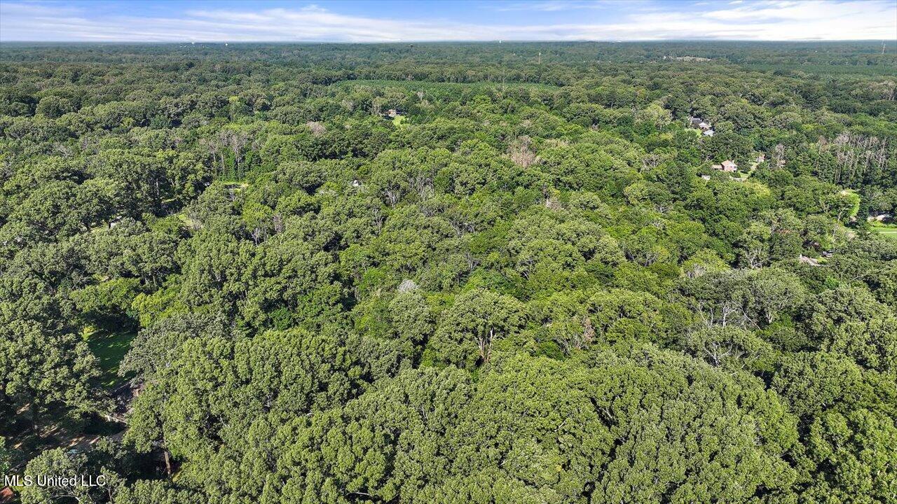 Castlewood Drive Clinton, MS 39056 - Photo 15 of 22 13-141 Castlewood Dr