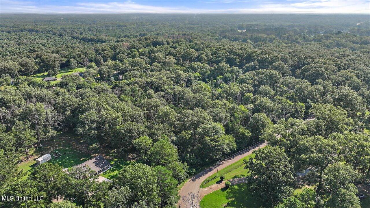 Castlewood Drive Clinton, MS 39056 - Photo 2 of 22 17-141 Castlewood Dr