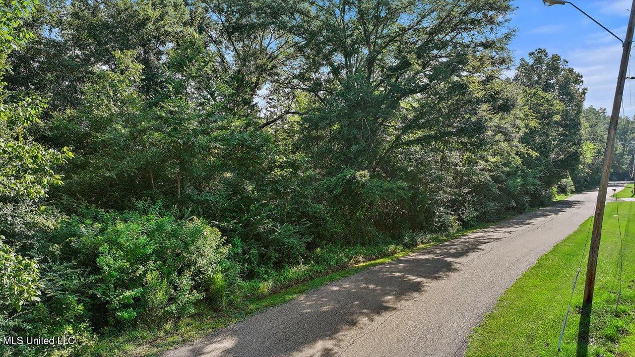 Castlewood Drive Clinton, MS 39056 - Photo 3 of 22 26-141 Castlewood Dr