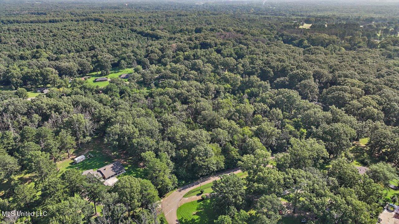 Castlewood Drive Clinton, MS 39056 - Photo 4 of 22 01-141 Castlewood Dr