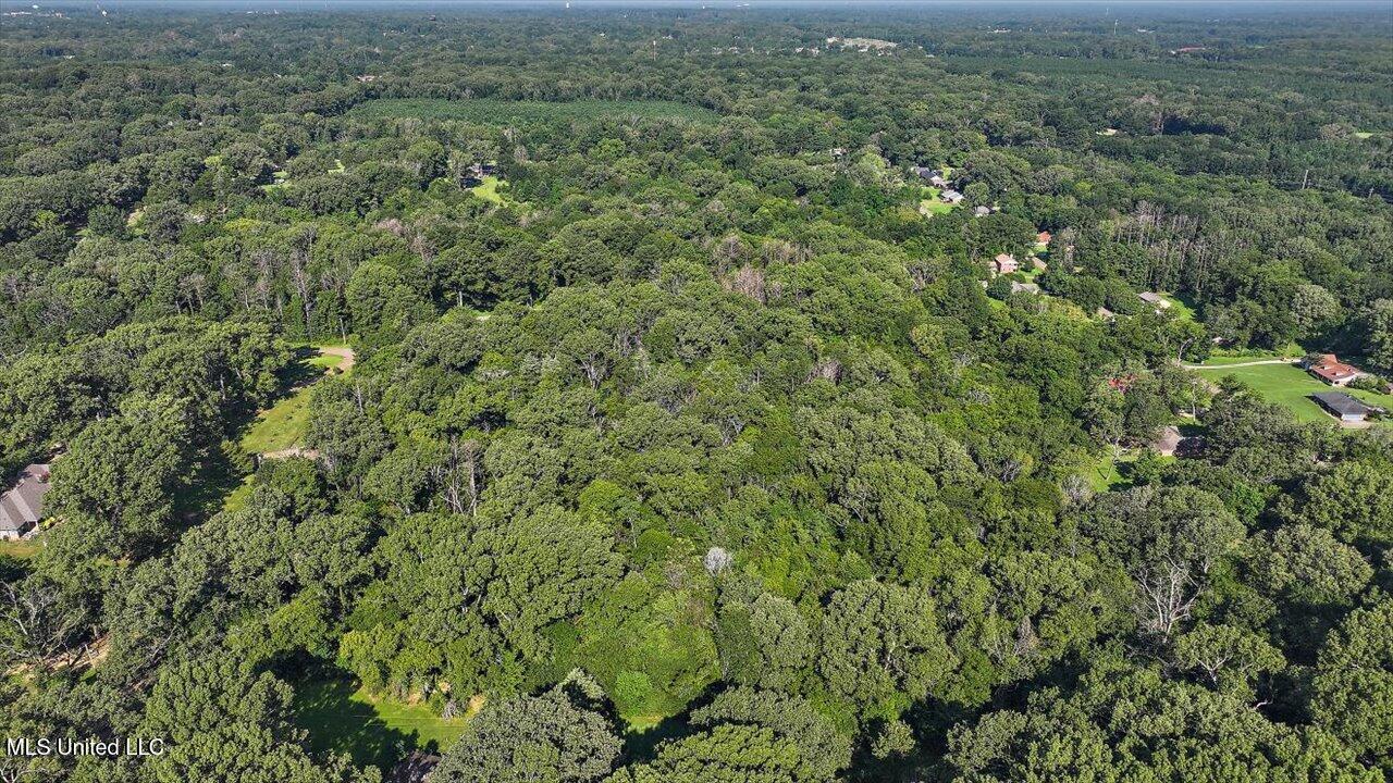 Castlewood Drive Clinton, MS 39056 - Photo 8 of 22 04-141 Castlewood Dr