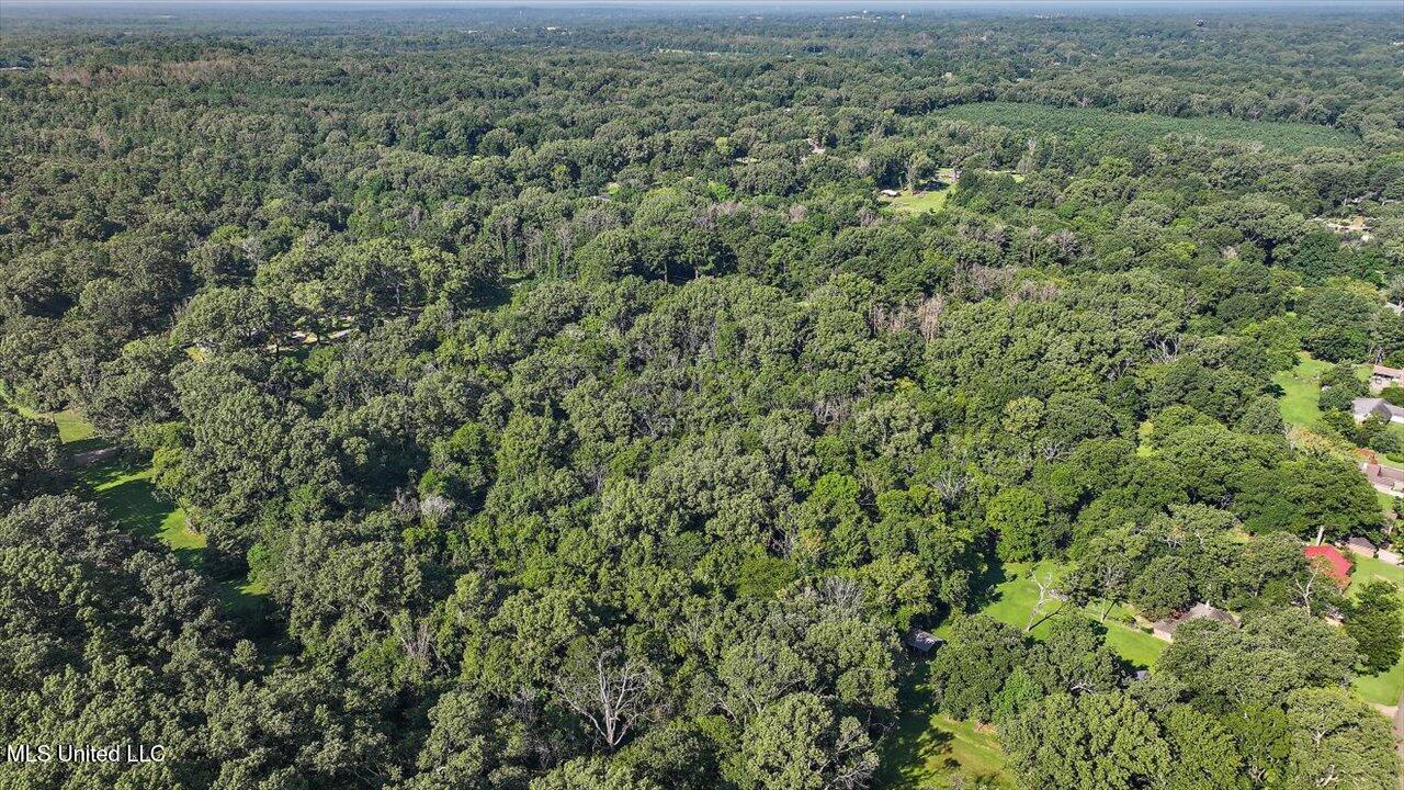 Castlewood Drive Clinton, MS 39056 - Photo 9 of 22 05-141 Castlewood Dr
