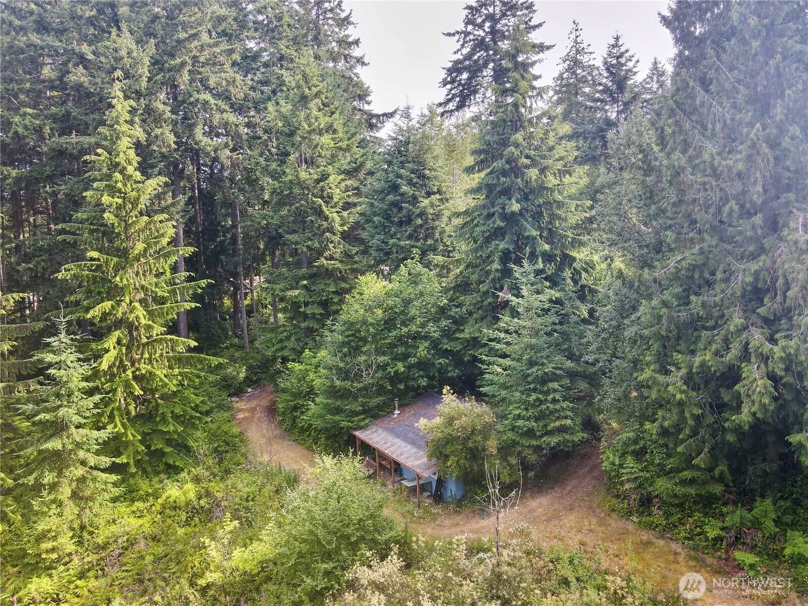 11422 Leschi Circle Anderson Island, WA 98303 - Photo 28 of 40 a picture of trees