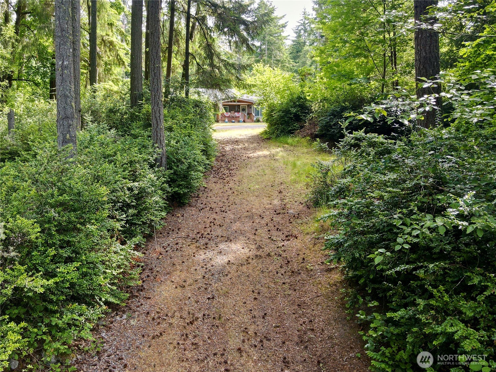 11422 Leschi Circle Anderson Island, WA 98303 - Photo 36 of 40 a view of a yard with plants and large trees