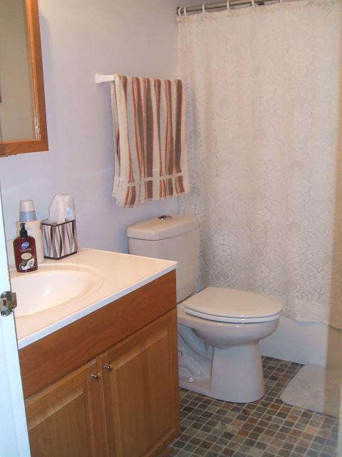 802 Grace Street Colon, MI 49040 - Photo 15 of 21 Additional Photo