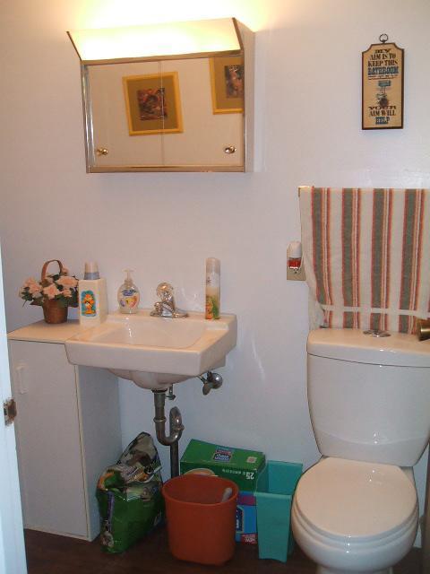 802 Grace Street Colon, MI 49040 - Photo 20 of 21 Additional Photo