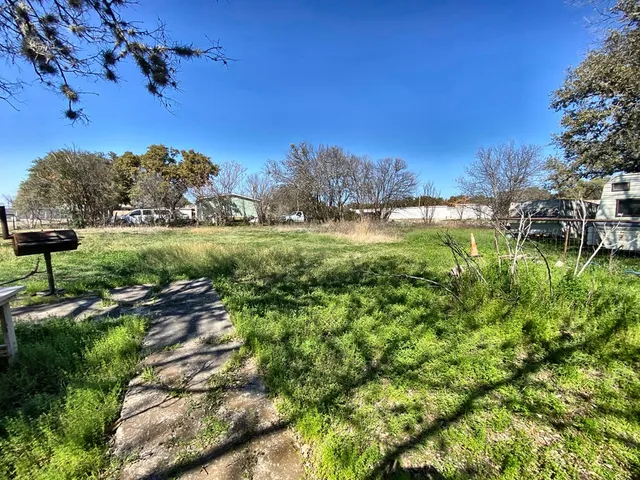a view of a garden with an trees