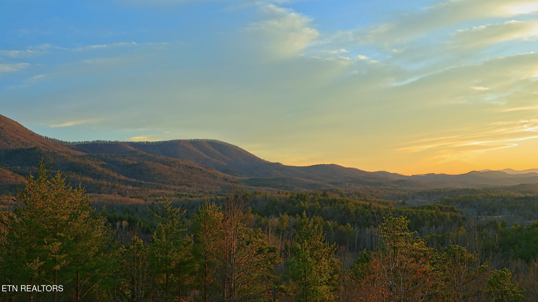 111 Cherokee Path Tellico Plains, TN 37385 - Photo 28 of 28 IMG_1031