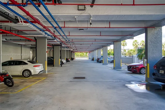 a view of a garden with plants