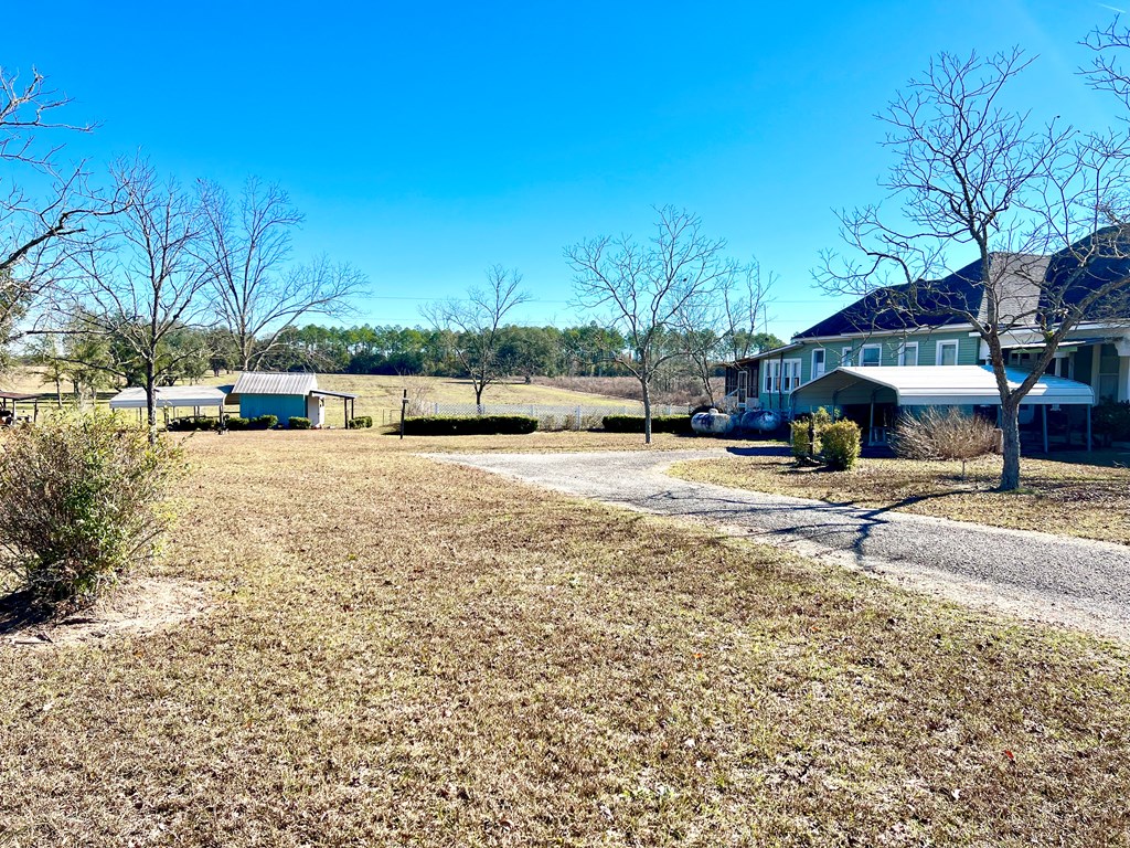 174 Clyde Howell Road Bainbridge, GA 39817 - Photo 38 of 41 View of West Side of house/yard from road