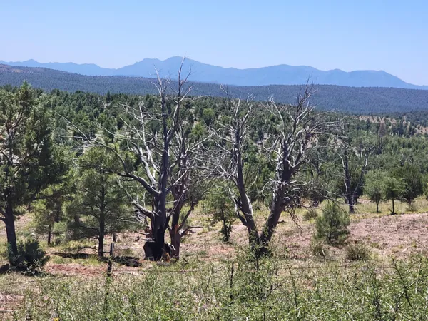$167,500 | 41-42 Antelope Trail Road, Payson, AZ 85541
