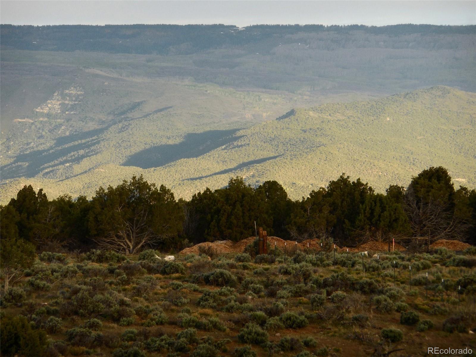 11 Pine Ridge Road Cedaredge, CO 81413 - Photo 13 of 21