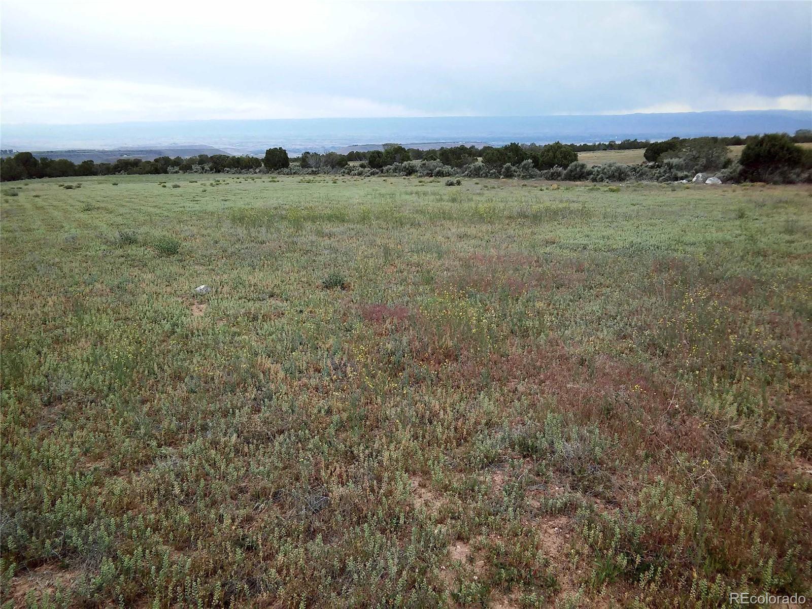 11 Pine Ridge Road Cedaredge, CO 81413 - Photo 15 of 21