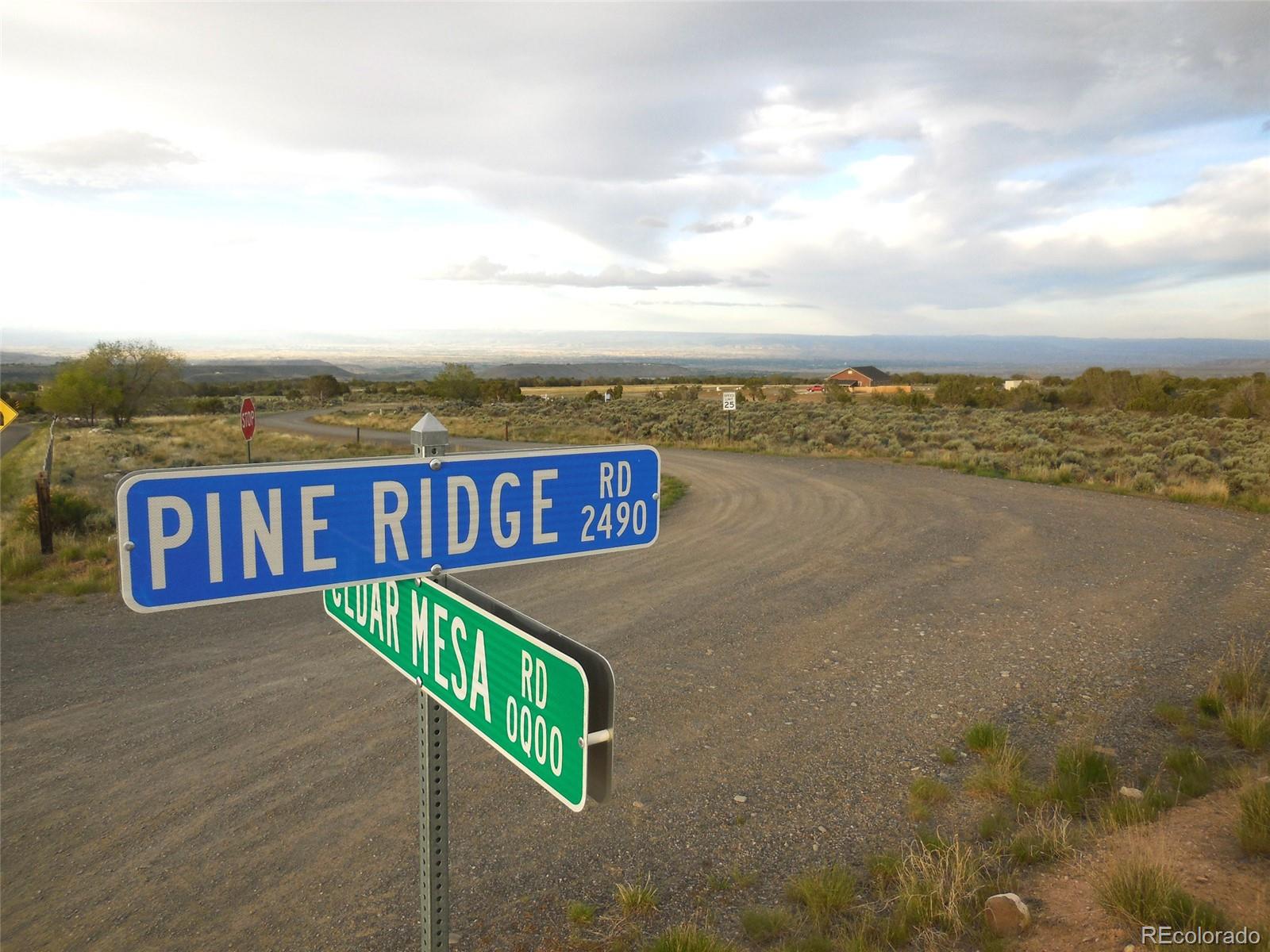11 Pine Ridge Road Cedaredge, CO 81413 - Photo 18 of 21