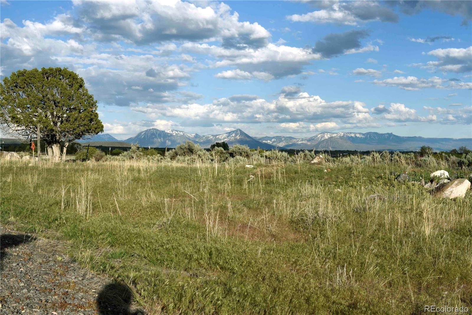 11 Pine Ridge Road Cedaredge, CO 81413 - Photo 2 of 21