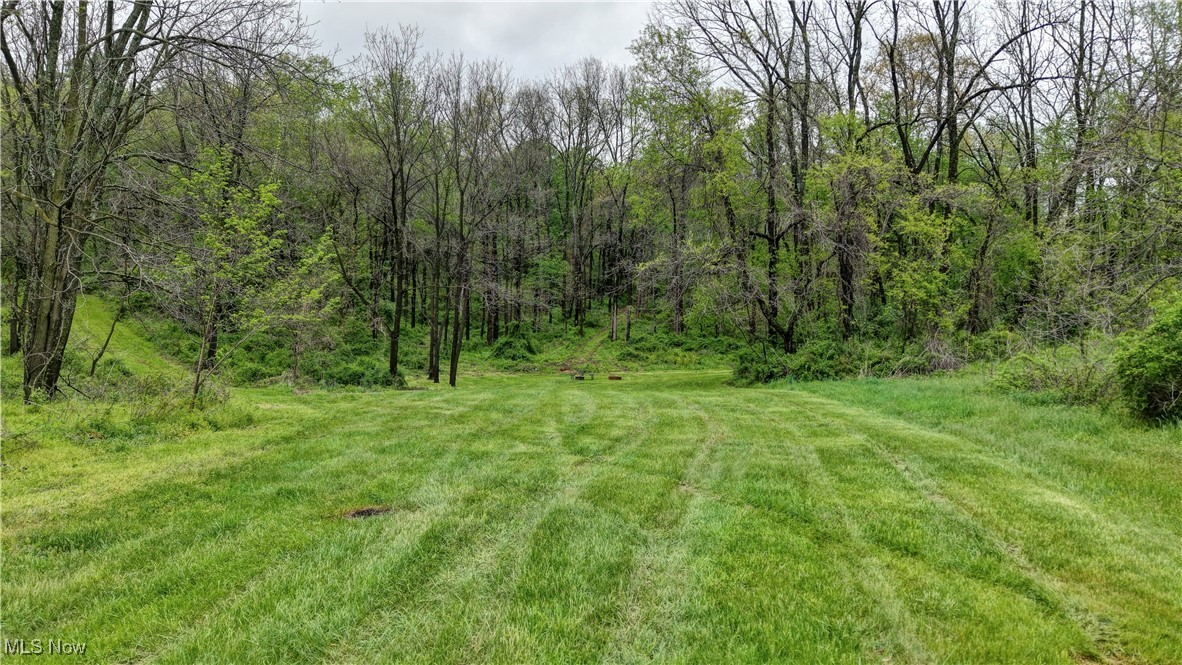 79 State Route Warsaw, OH 43844 - Photo 8 of 11 Gallery Image 8