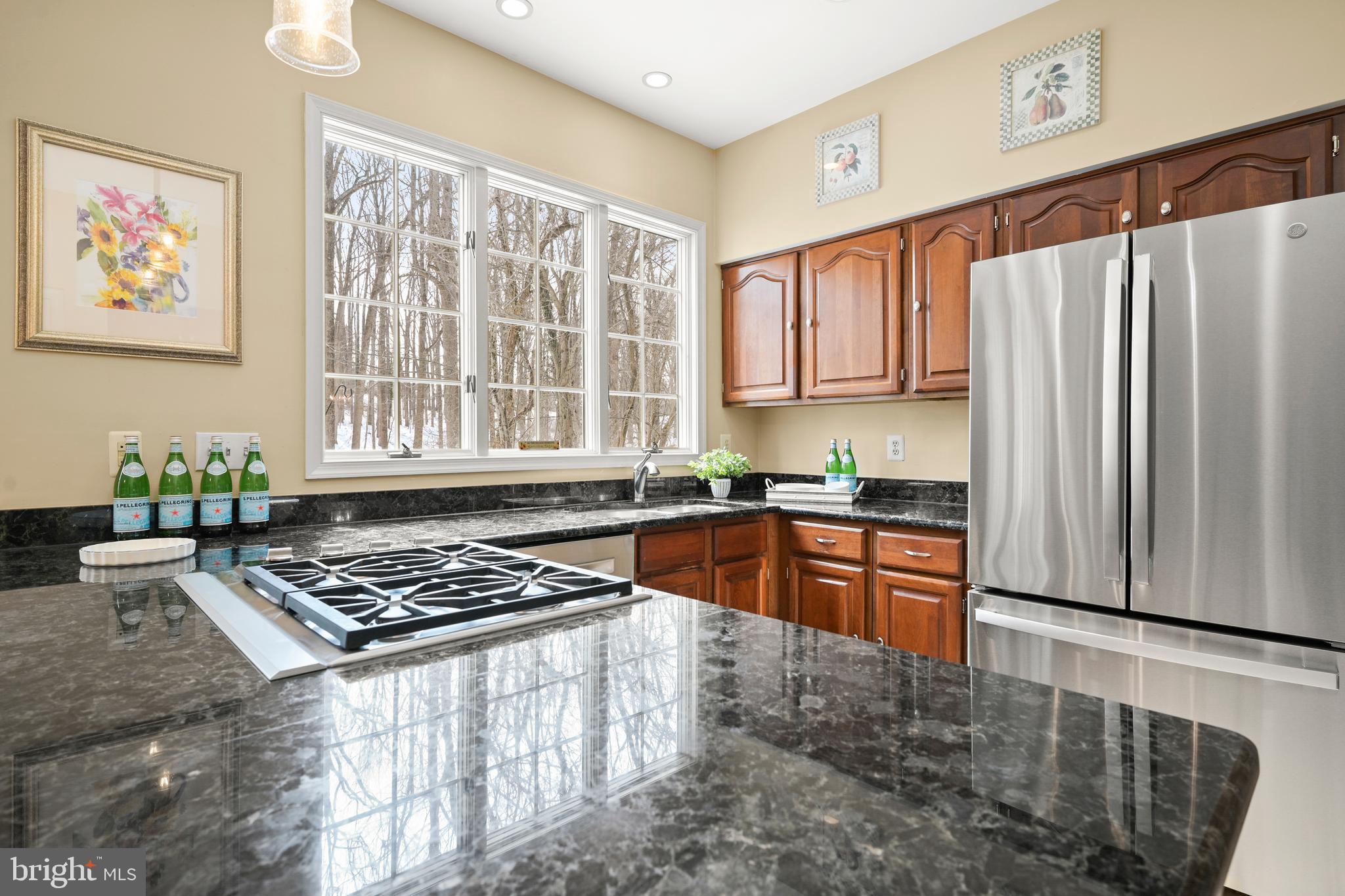 9733 Starling Road Ellicott City, MD 21042 - Photo 19 of 55 Granite counters & ample work/serve space