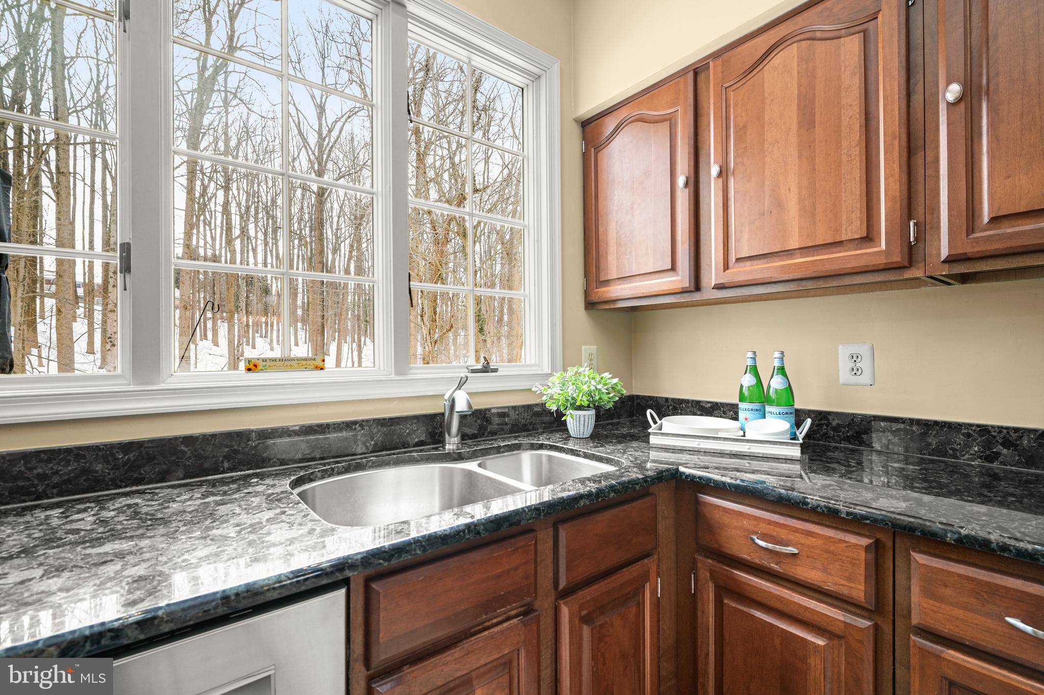 9733 Starling Road Ellicott City, MD 21042 - Photo 20 of 55 Sweeping views of forest from kitchen windows