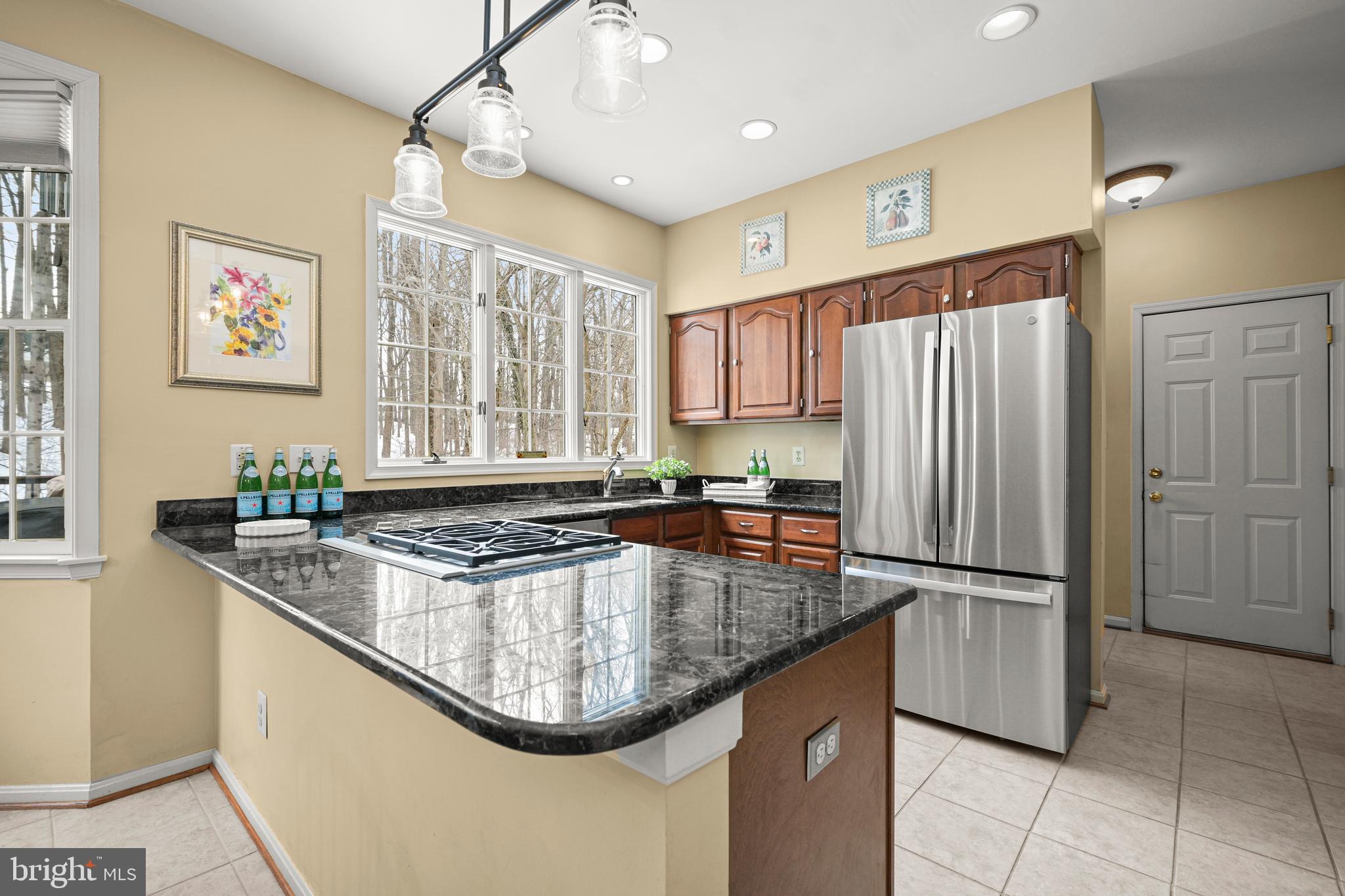 9733 Starling Road Ellicott City, MD 21042 - Photo 21 of 55 Kitchen with gas cook top and downdraft vent