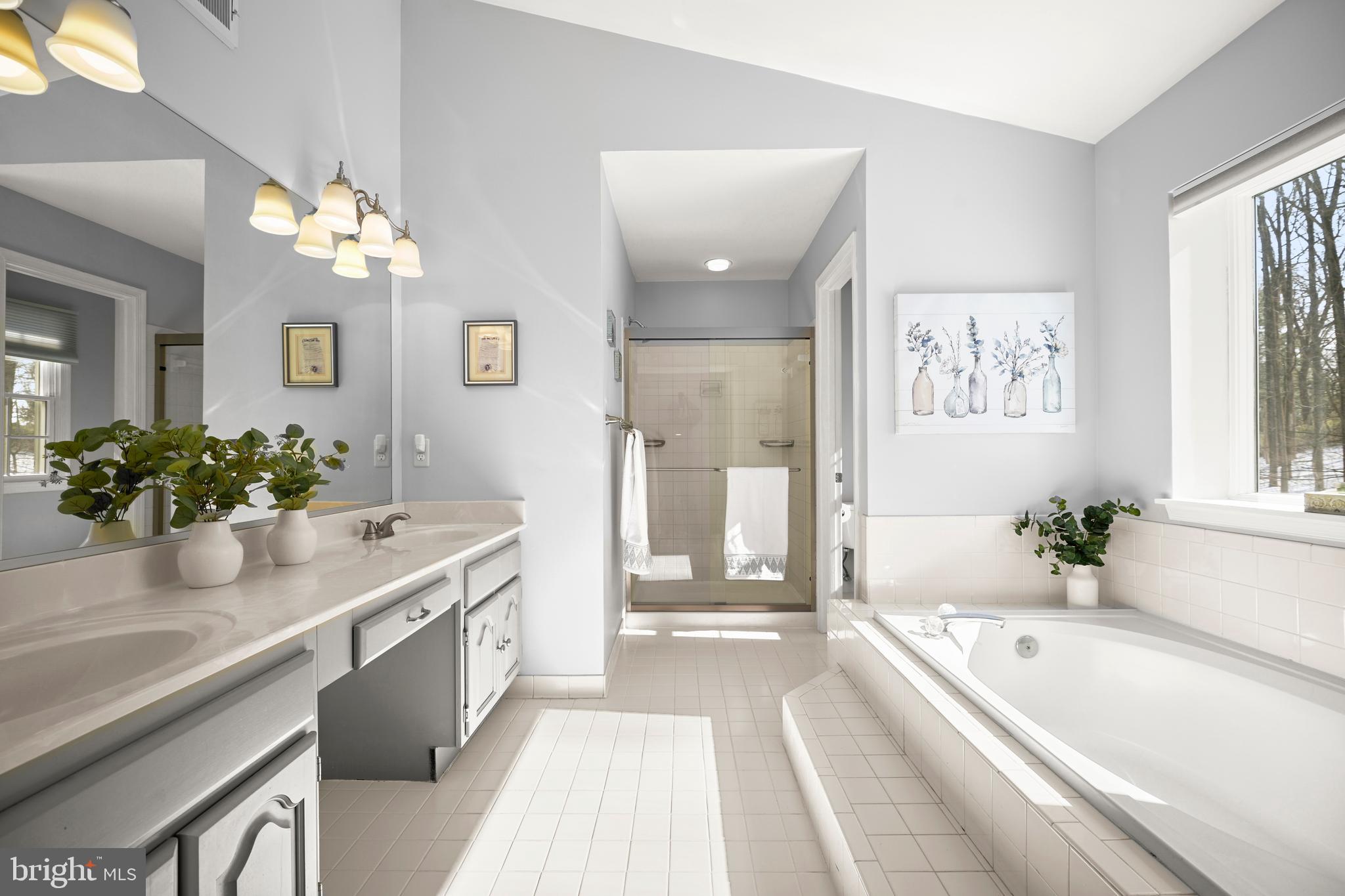 9733 Starling Road Ellicott City, MD 21042 - Photo 27 of 55 Primary bath with new glass shower doors