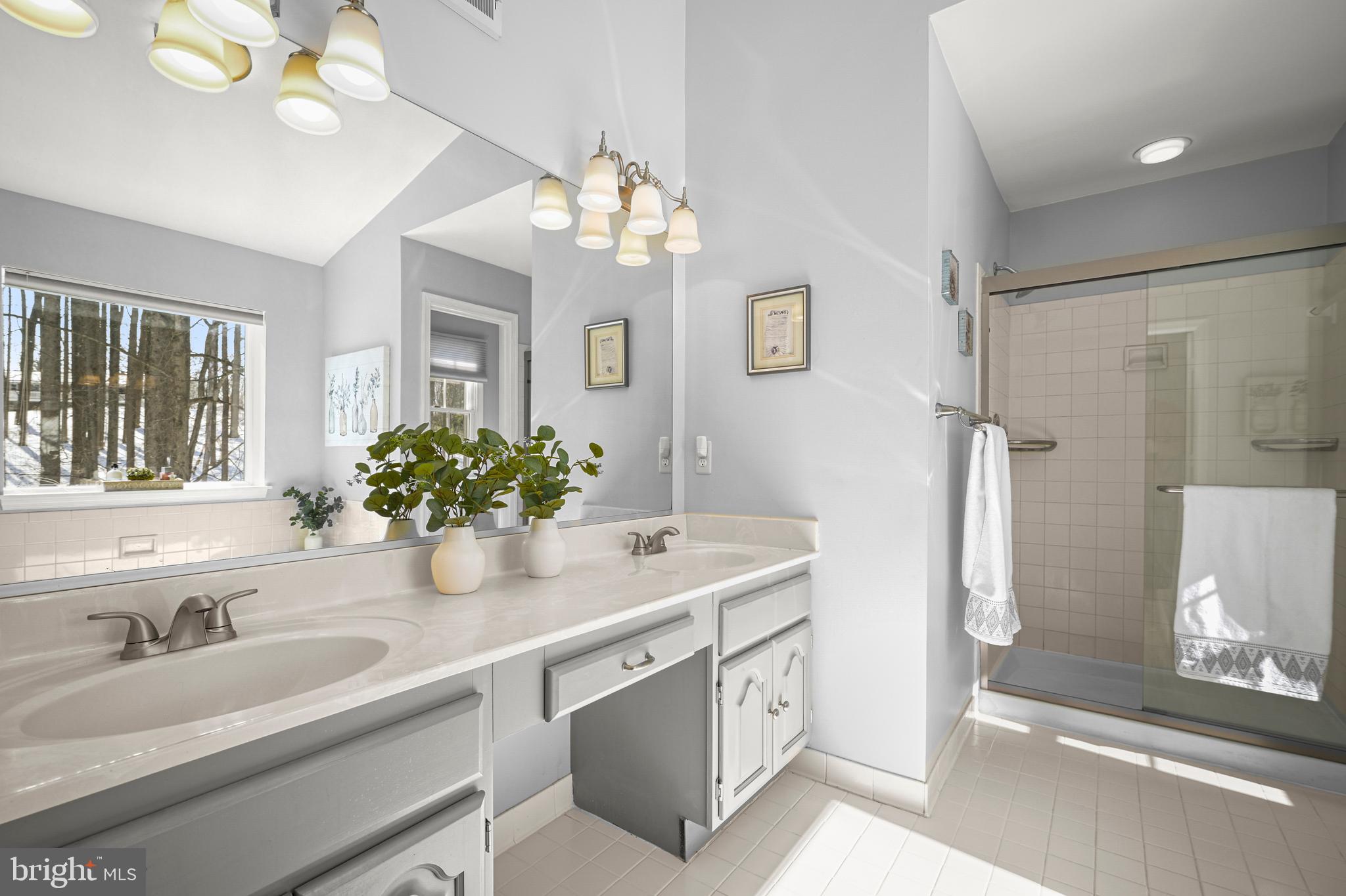 9733 Starling Road Ellicott City, MD 21042 - Photo 28 of 55 Primary bath vanity with double sinks