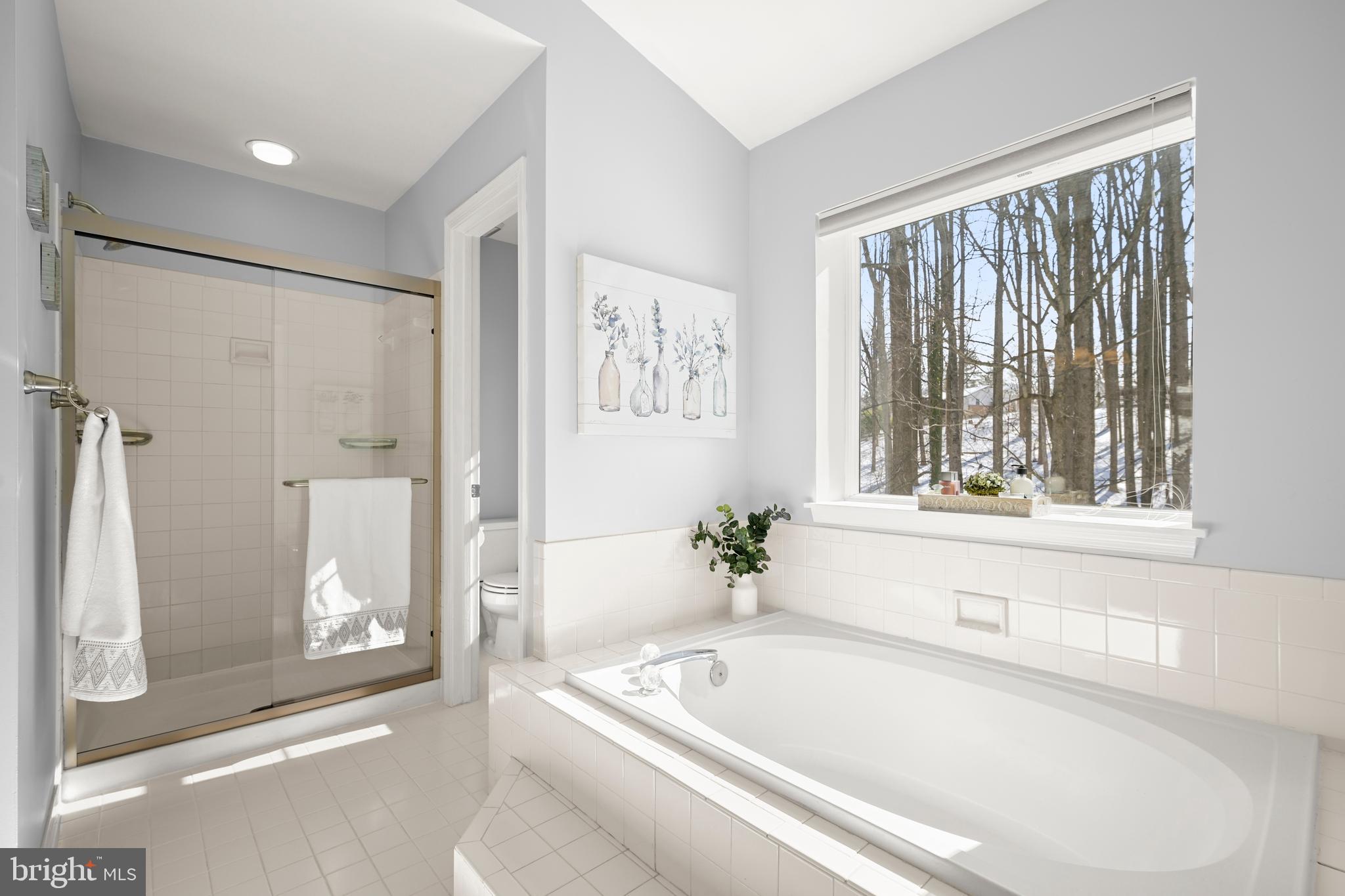9733 Starling Road Ellicott City, MD 21042 - Photo 29 of 55 Primary bath soaking tub w/incredible private view