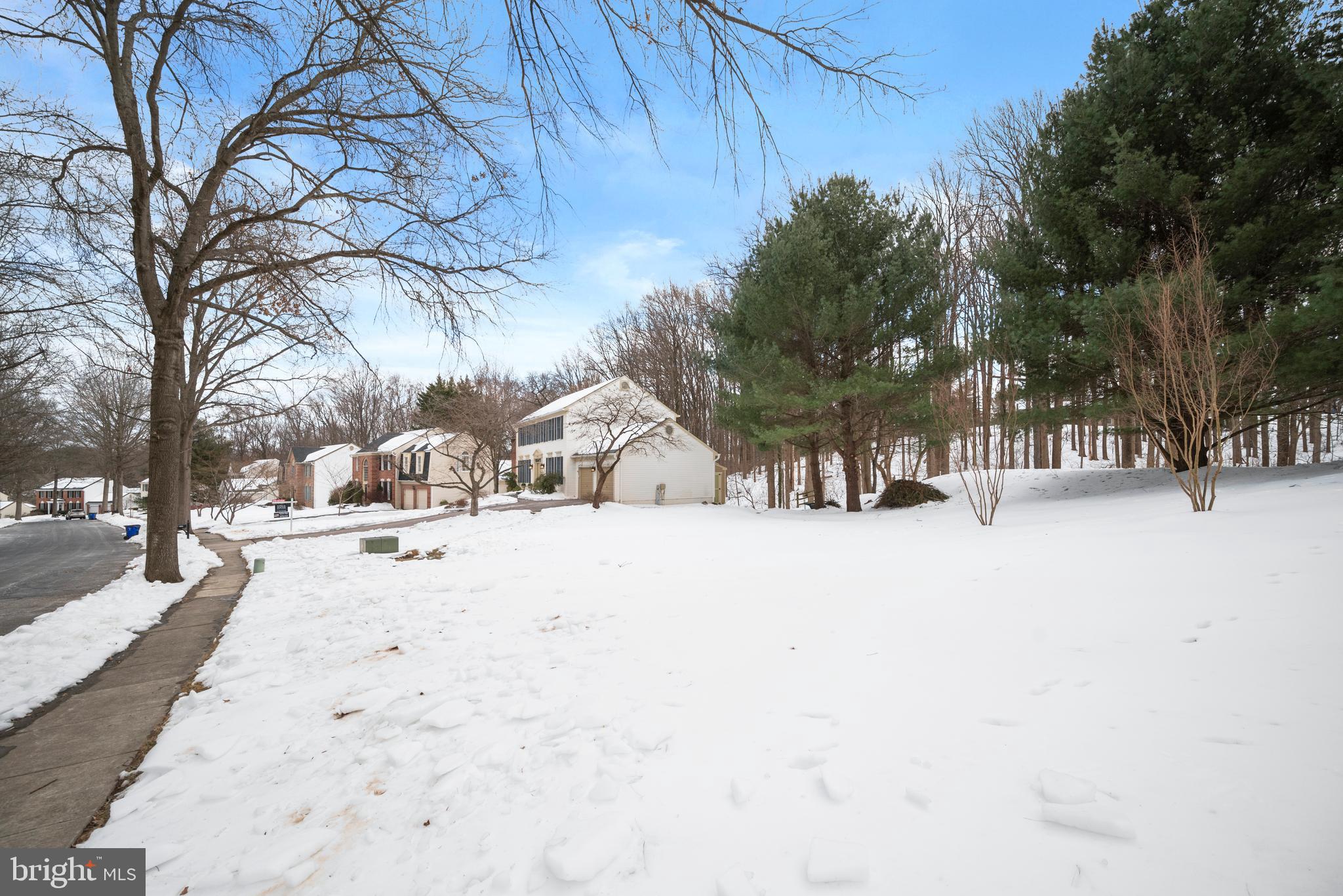 9733 Starling Road Ellicott City, MD 21042 - Photo 5 of 55 Ample side yard for play