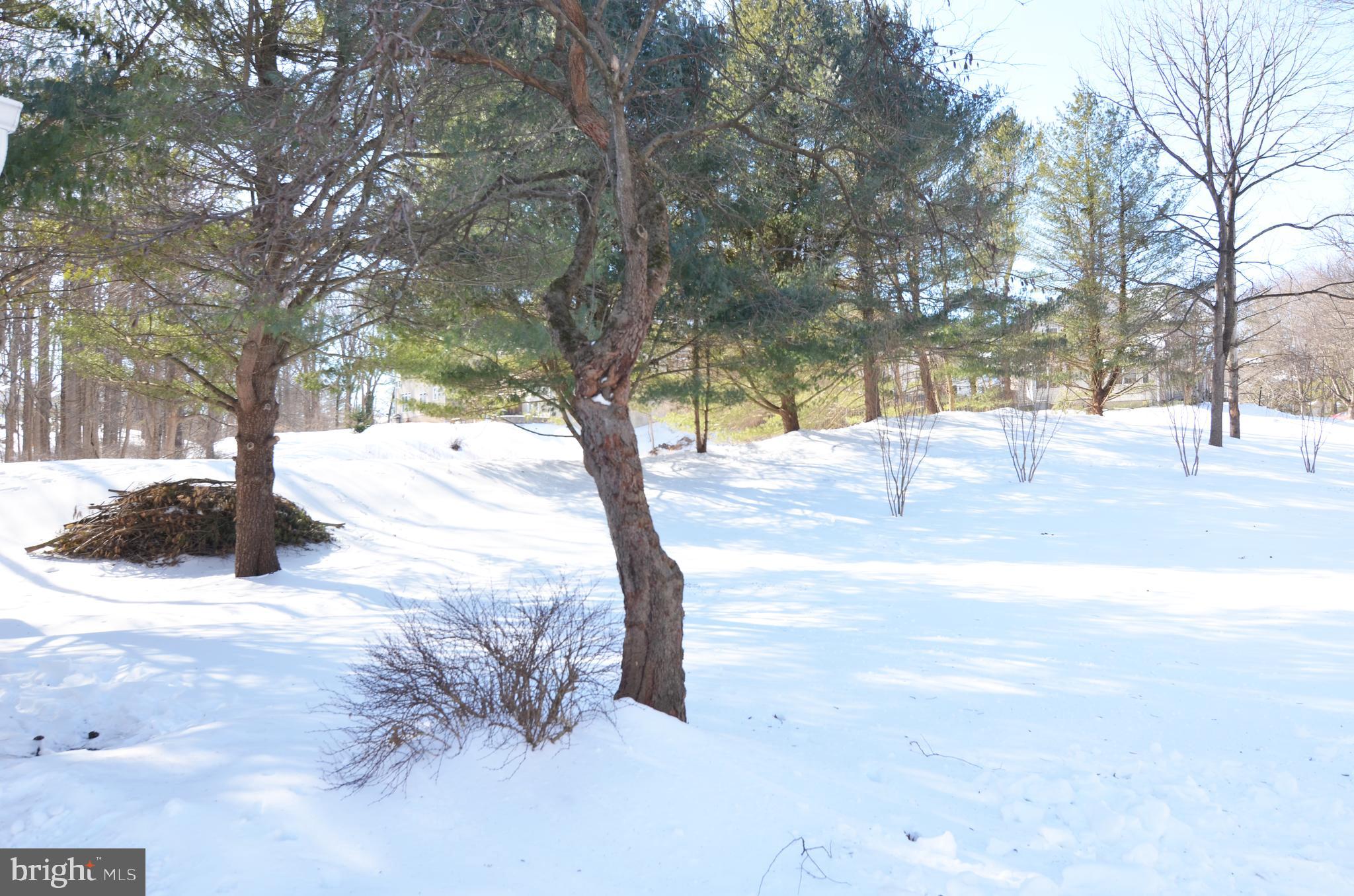 9733 Starling Road Ellicott City, MD 21042 - Photo 5 of 6 a view of a yard with a tree