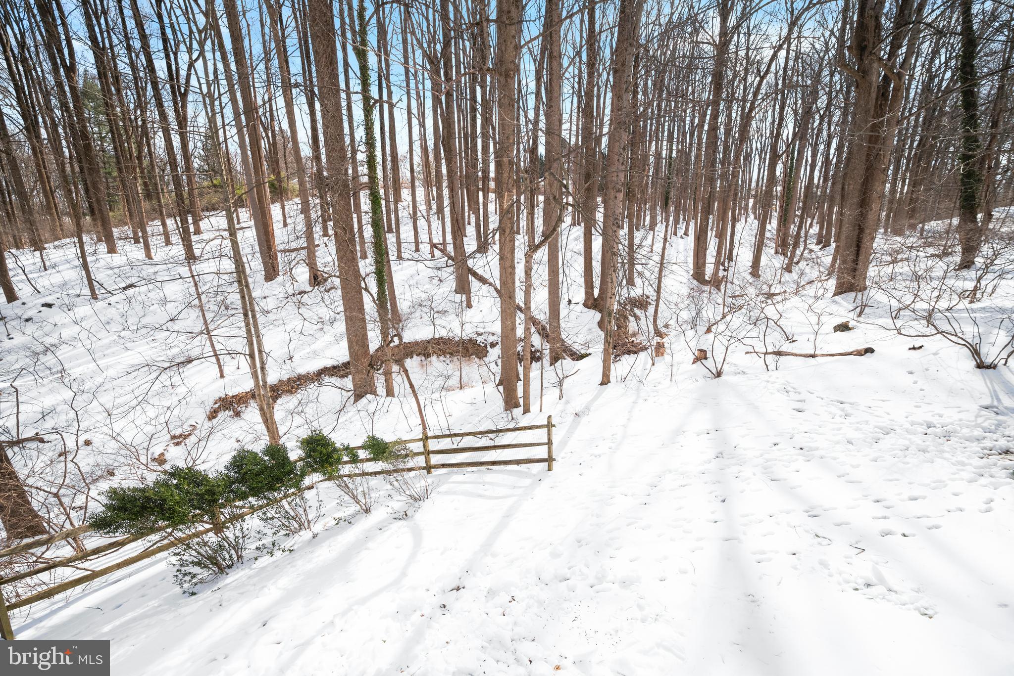 9733 Starling Road Ellicott City, MD 21042 - Photo 51 of 55 View of rear yard