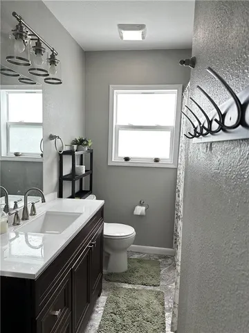 a bathroom with a sink a toilet a mirror and vanity