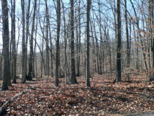 0 Riverside Drive Luray, VA 22835 - Photo 1 of 1 Gallery Image 1