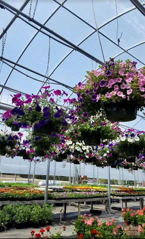 $469,900 | 32544 Highway 9, Pageland, SC 29728