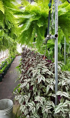 $469,900 | 32544 Highway 9, Pageland, SC 29728