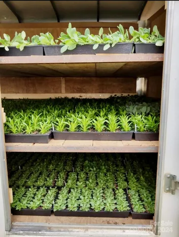 $469,900 | 32544 Highway 9, Pageland, SC 29728