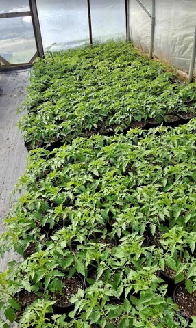 $469,900 | 32544 Highway 9, Pageland, SC 29728