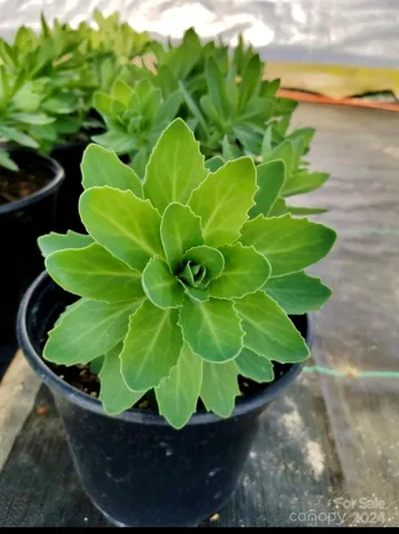 $469,900 | 32544 Highway 9, Pageland, SC 29728