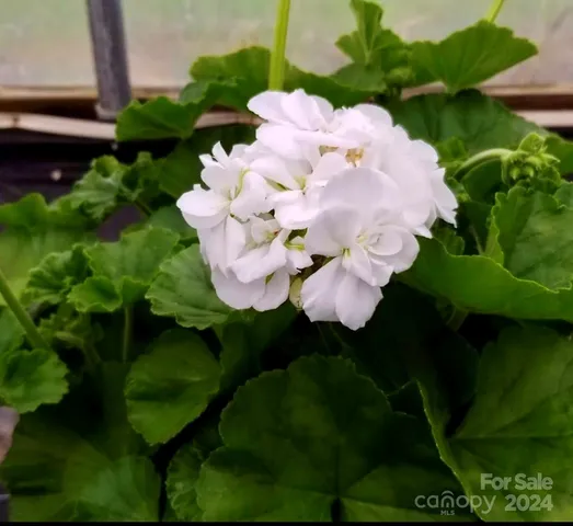 $469,900 | 32544 Highway 9, Pageland, SC 29728