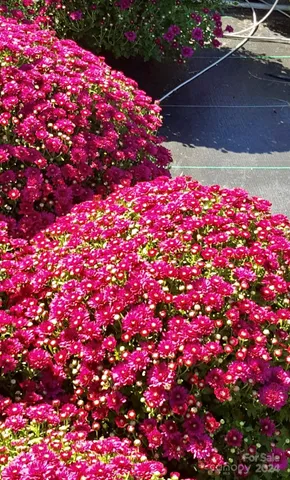 $469,900 | 32544 Highway 9, Pageland, SC 29728