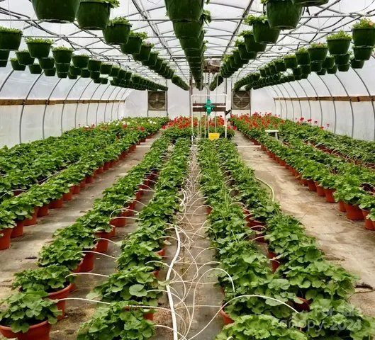 $469,900 | 32544 Highway 9, Pageland, SC 29728