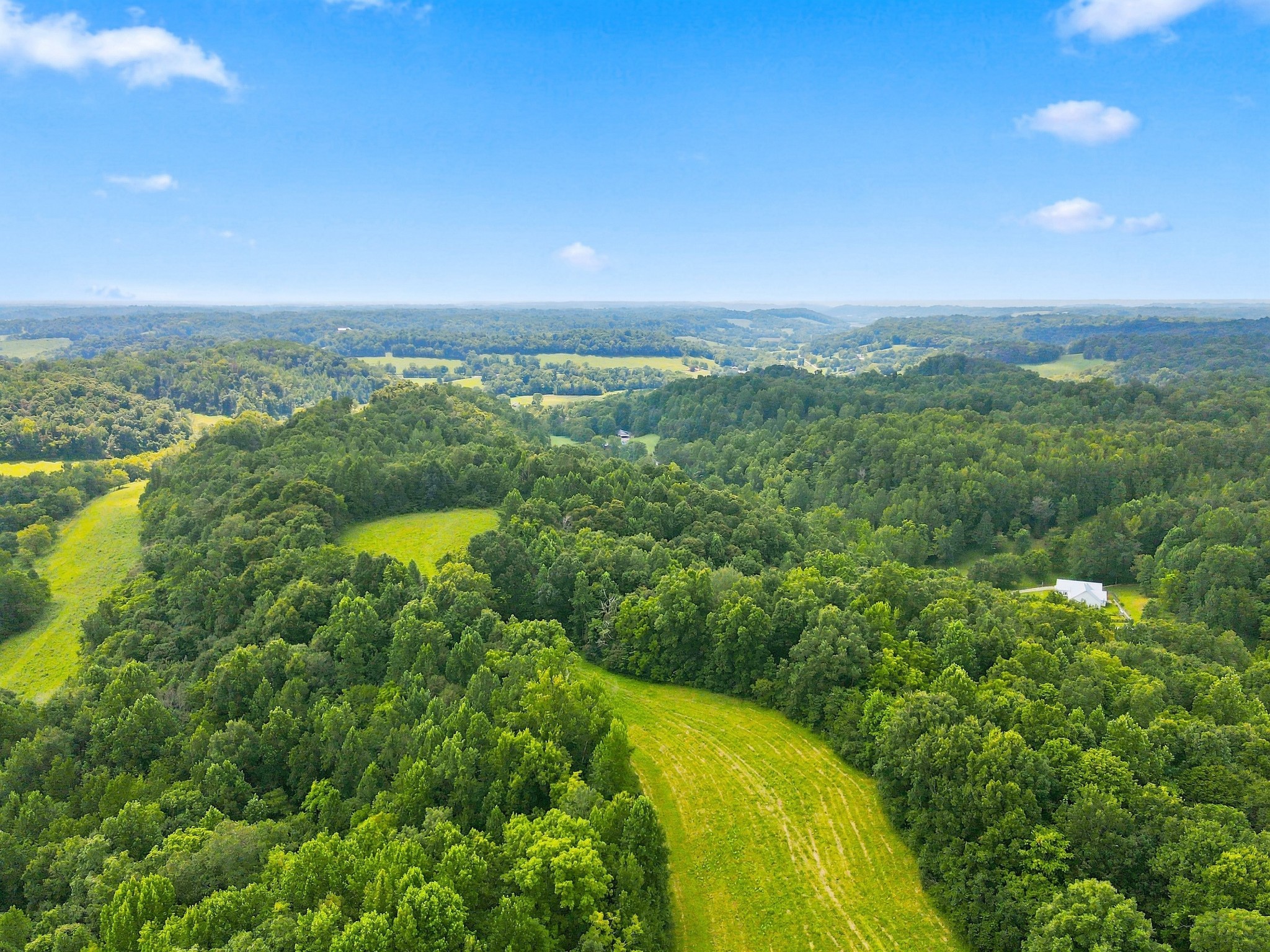1448 Williams Hollow Road Pulaski, TN 38478 - Photo 43 of 70 Gallery Image 43