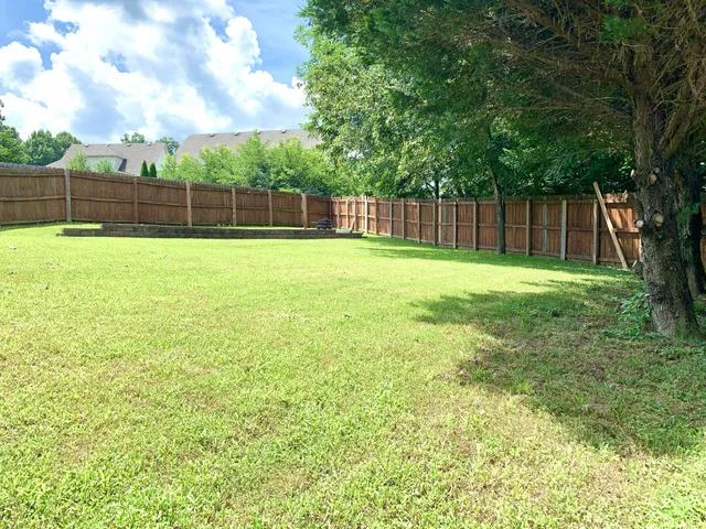 a view of a yard with a large trees