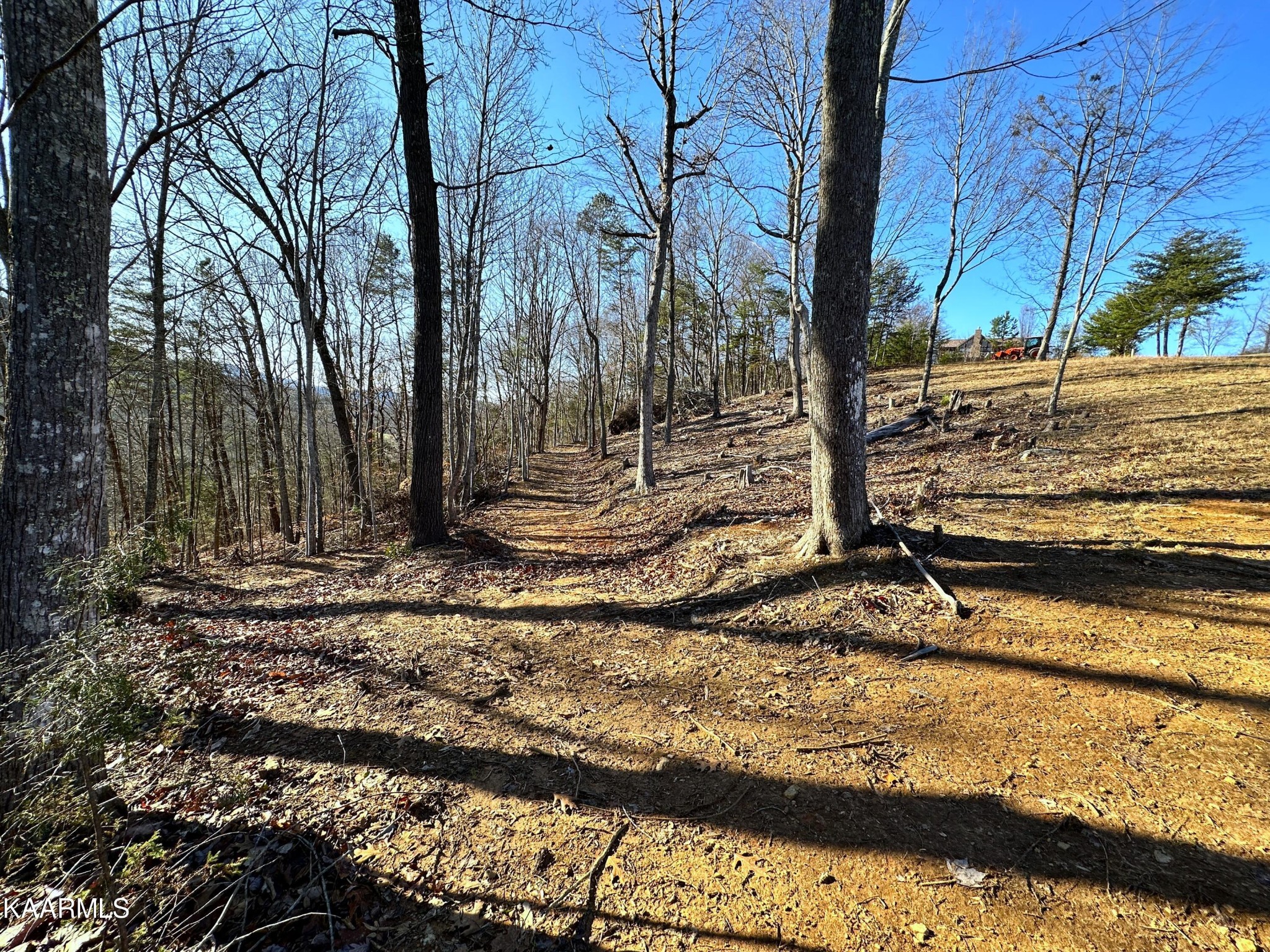 502 Stevia Road Cosby, TN 37722 - Photo 16 of 22 a view of a backyard of the house