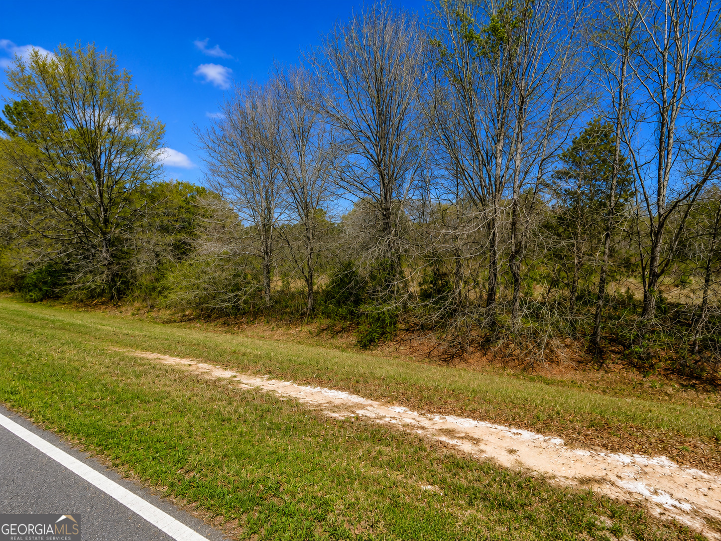 25.69-acres Gaissert Road Albany, GA 31705 - Photo 8 of 9