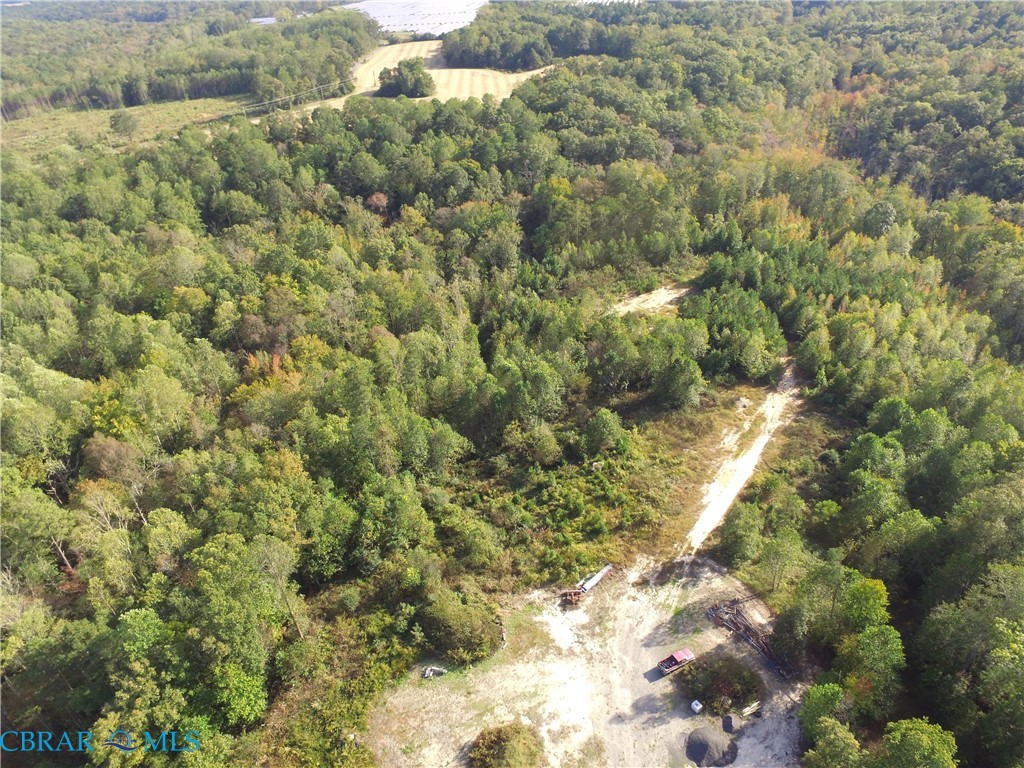 55-98 Kings Mill Road Montross, VA 22520 - Photo 10 of 12