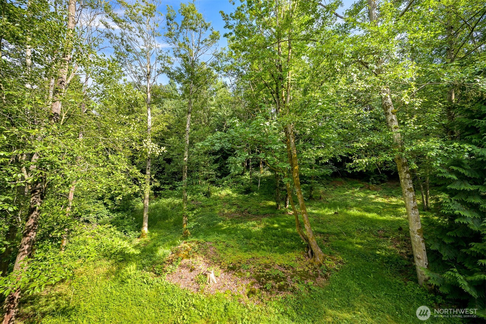 6241 Olson Road Ferndale, WA 98248 - Photo 40 of 40