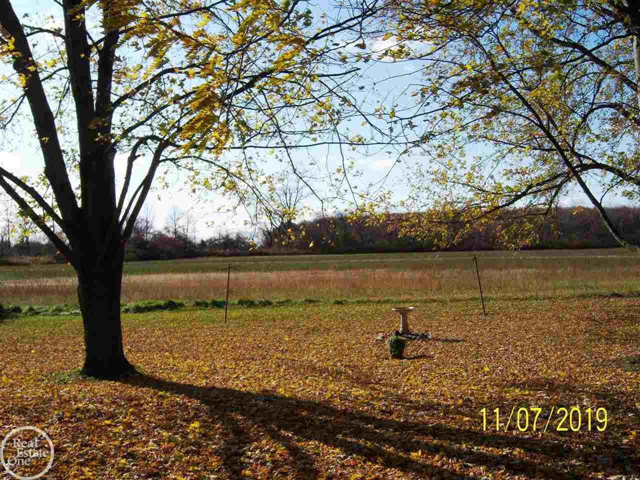 74751 Memphis Ridge Road Richmond, MI 48062 - Photo 19 of 23 back yard view