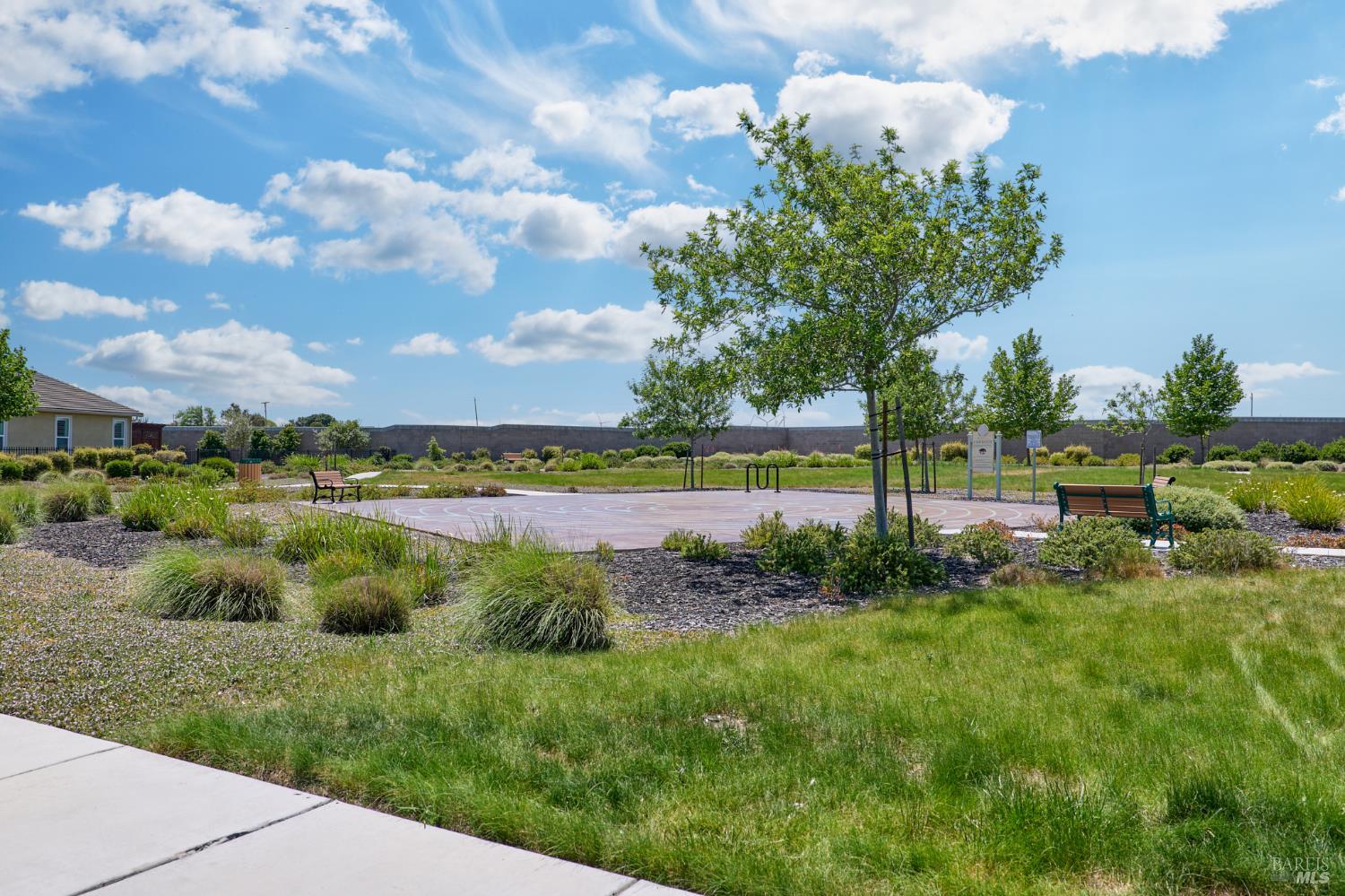 278 Longspur Drive Rio Vista, CA 94571 - Photo 7 of 29 a view of a garden with an outdoor space
